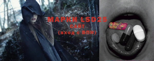 хмурый Алзамай