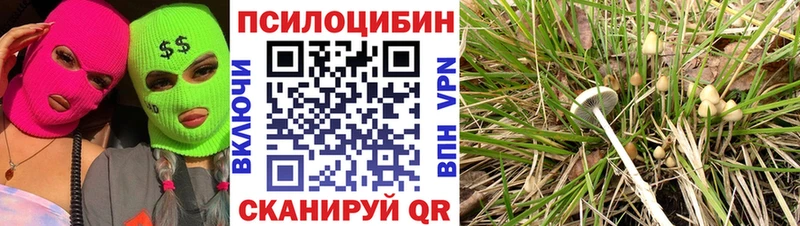 Галлюциногенные грибы MAGIC MUSHROOMS  Алупка 